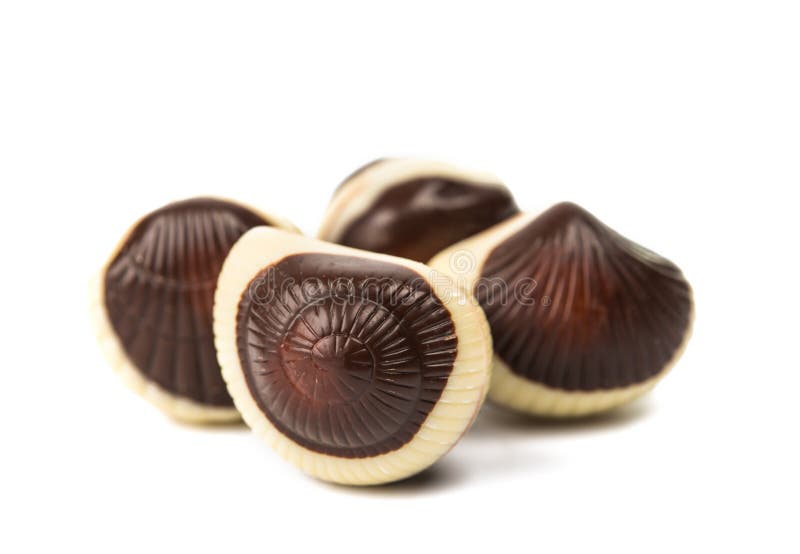 √ Fruits De Mer Chocolat Mon Blog Jardinage