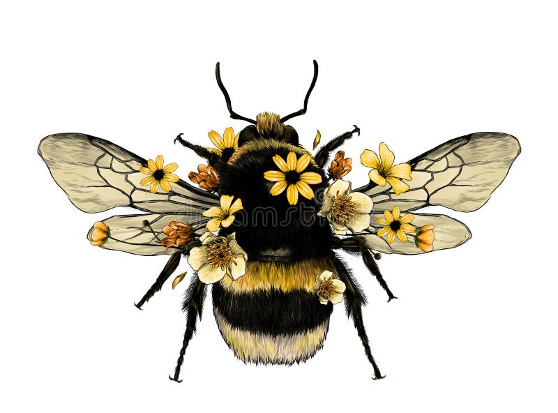 Bondar fluffy în vedere galbenă de sus cu aripi royalty free illustration