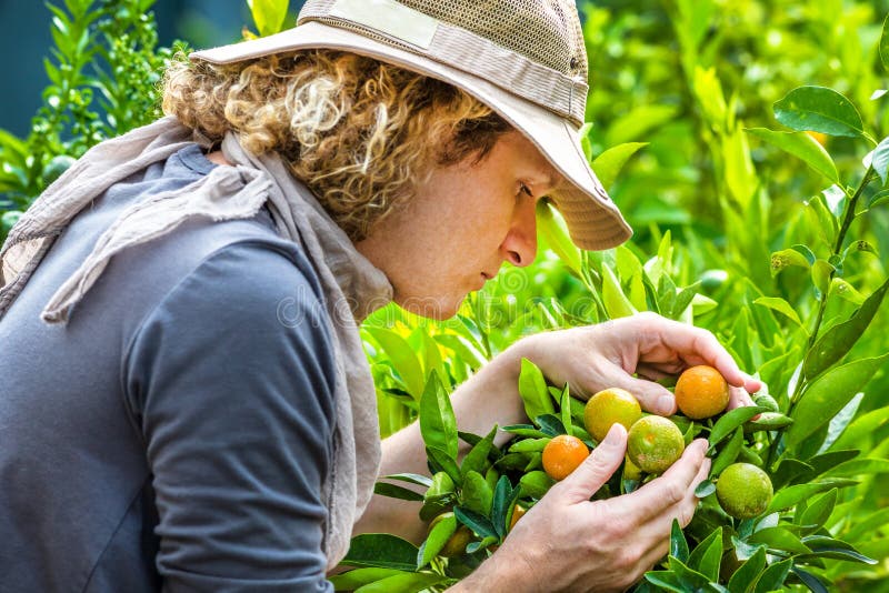 Bonde Checking Tangerines Bonde Checking Tangerines