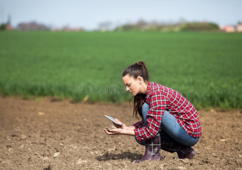 Young pretty farmer woman with tablet checking soil quality on field. Young pretty farmer woman with tablet checking soil quality on field