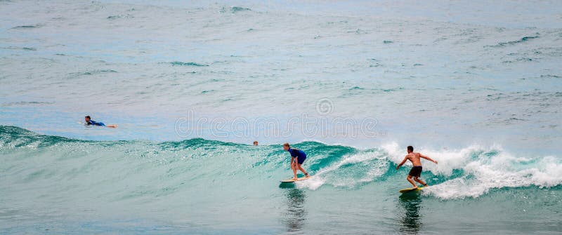 Bondi Beach surfers