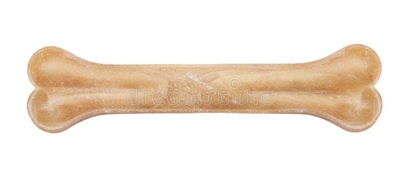 Bone from cartilage for dogs stock photography