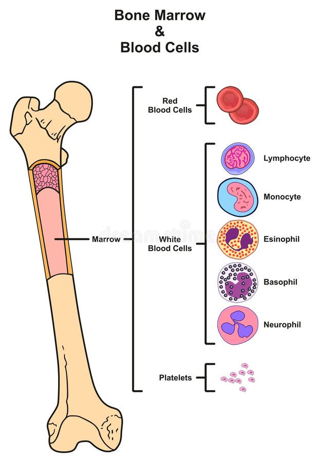 Tumors of