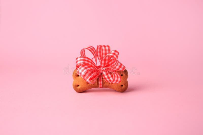 Bone Shaped Dog Cookie with Bright Bow on Pink Background Stock Photo