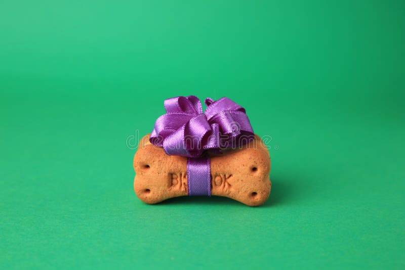 Bone Shaped Dog Cookie with Purple Bow on Green Background Stock Image