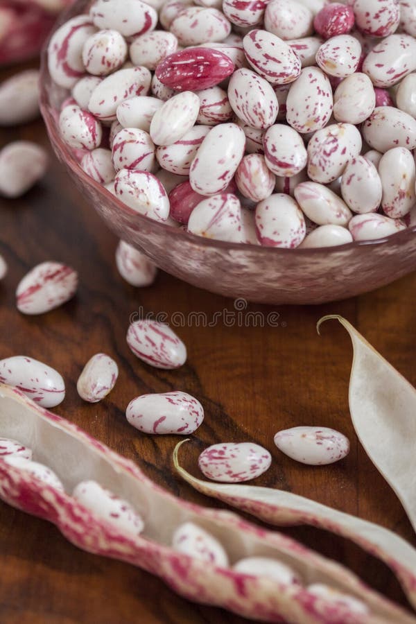 Bonen royalty-vrije stock foto