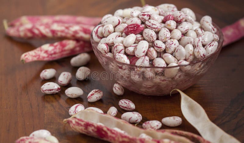 Bonen royalty-vrije stock afbeelding