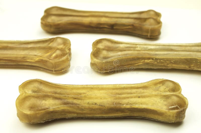 Dog bones stock photo. Image of animal, incentive, playful 66269254