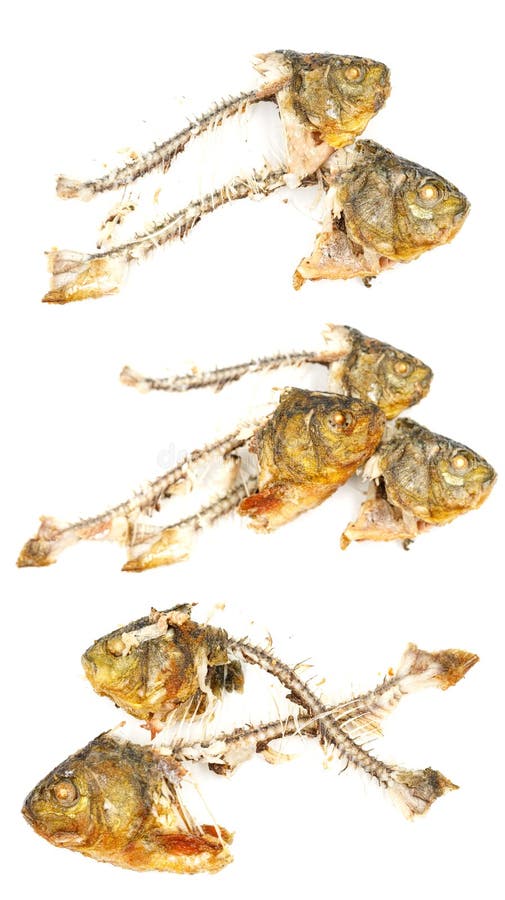 Bones and fish head isolated on white background. Remains of fried fish. food scraps royalty free stock photo Bones and fish head isolated on white background. Remains of fried fish. food scraps royalty free stock photo
