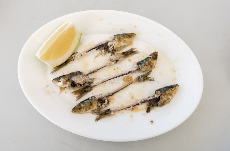 Sardine Fish Tail On White Plate Stock Image Image of local, back