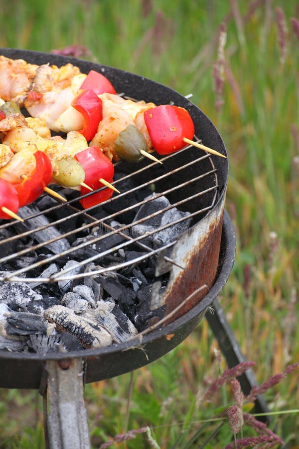 Bonfire Campfire Fire Flames Grilling Steak Stock Image Image of