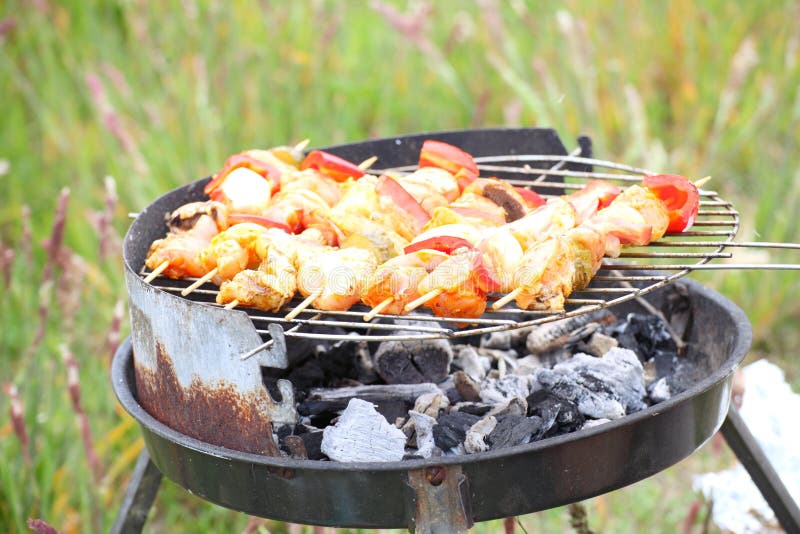 Bonfire Campfire Flames Grilling Steak BBQ Royalty Free Stock Images