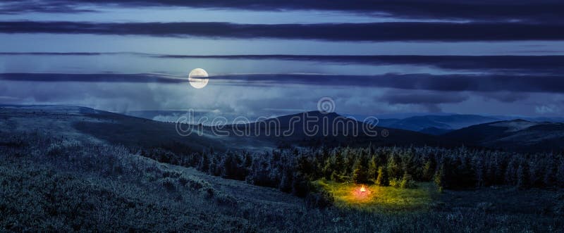 Bonfire in coniferous forest on a mountain hill at night