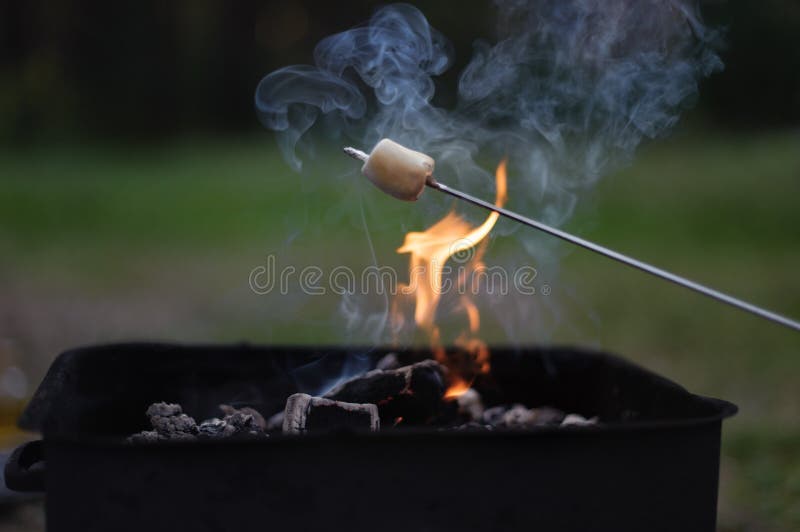 Marshmallows at bonfire in the forest.
