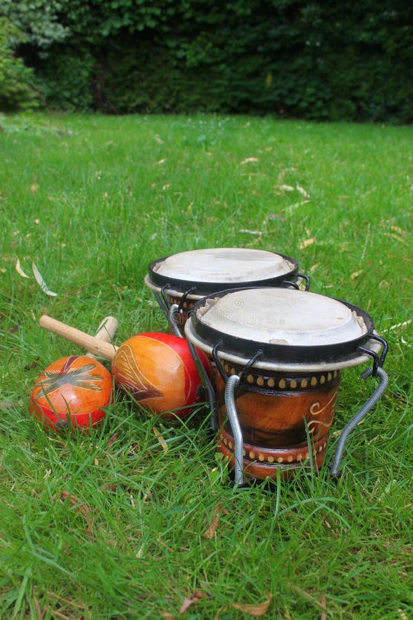 Bongos y maracas en hierba foto de archivo. Imagen de latino 10008654