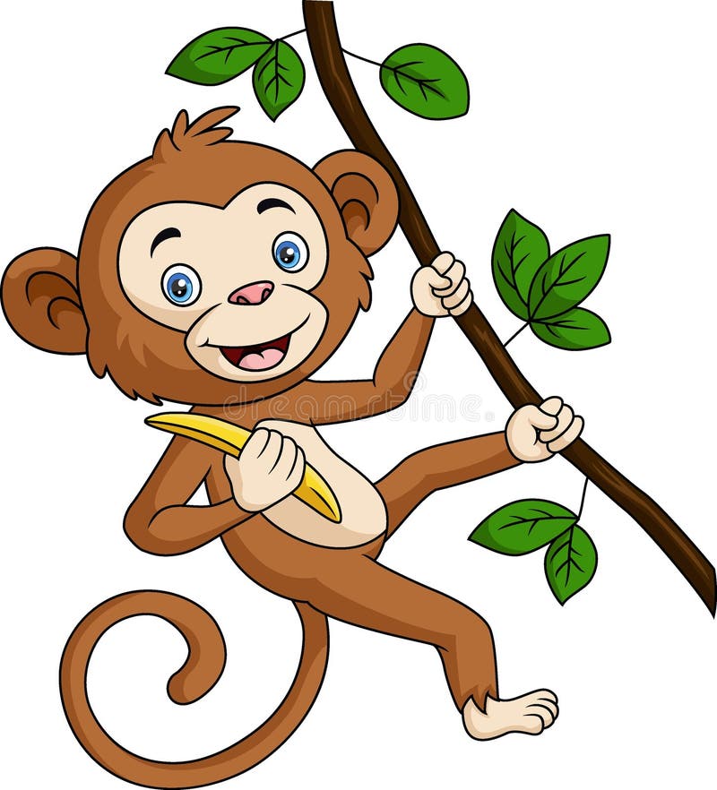 Vetores e ilustrações de Macaco galho png para download gratuito