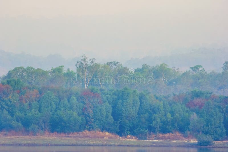 Bonjour avec la forêt pendant le ressort lumineux photo libre de droits Bonjour avec la forêt pendant le ressort lumineux photo libre de droits