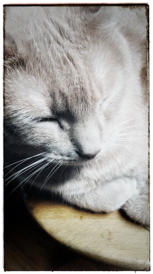 Bonne nuit image stock Bonne nuit image stock