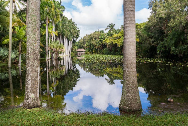 Bonnet House gardens, Ft Lauderdale, Florida royalty free stock image Bonnet House gardens, Ft Lauderdale, Florida royalty free stock image