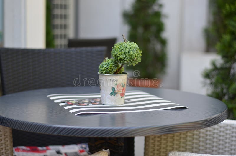 Bonsai Black Bar Table Stock Photos Free & RoyaltyFree Stock Photos