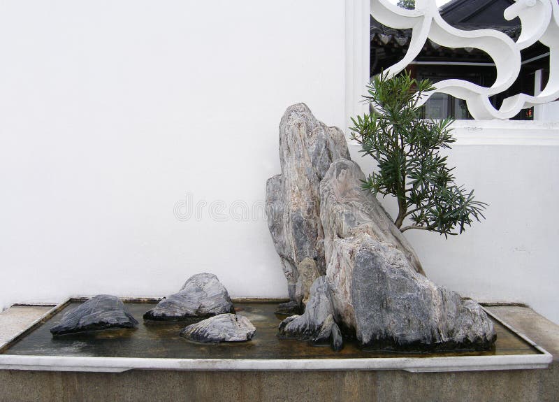 bonsai chińczyka skały drzewo obraz stock bonsai chińczyka skały drzewo obraz stock