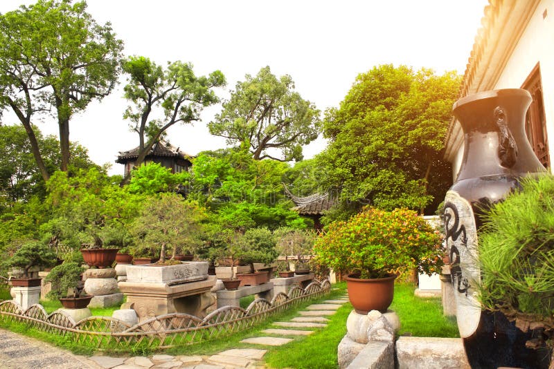 Bonsai i den ödmjuka trädgården för administratör` s, Suzhou, Kina royaltyfria foton