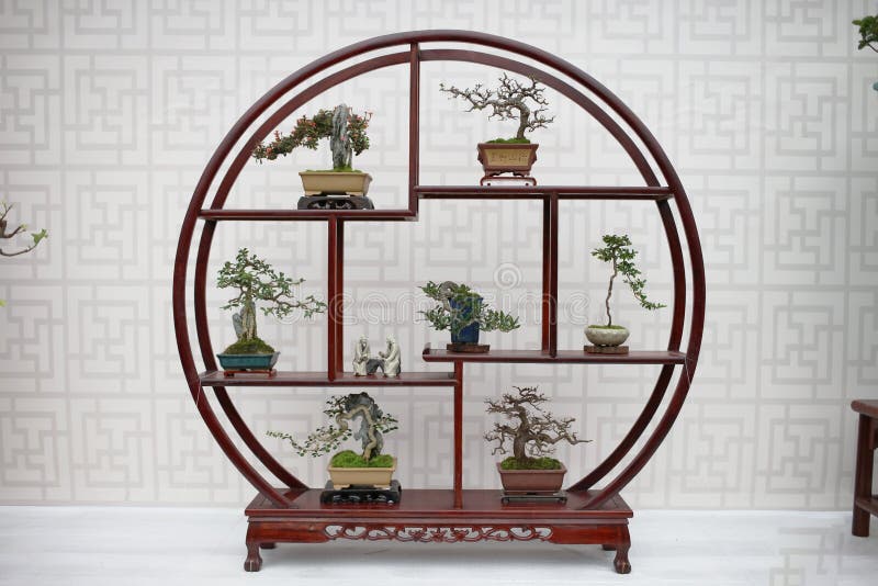 Bonsai and Penjing landscape with miniature