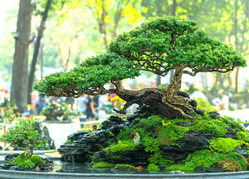 Bonsai and Penjing with miniature in a tray