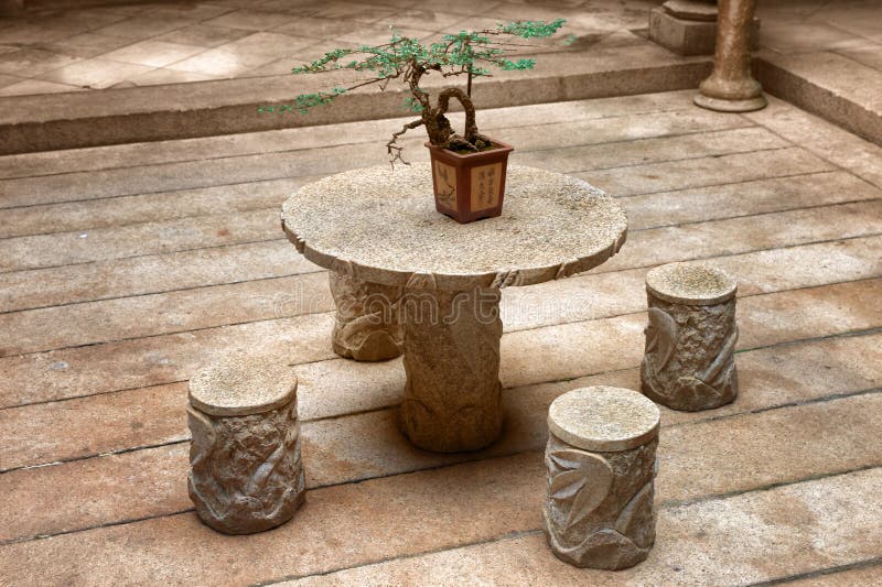 Bonsai plant on table stock photo. Image of chairs, courtyard 25741624