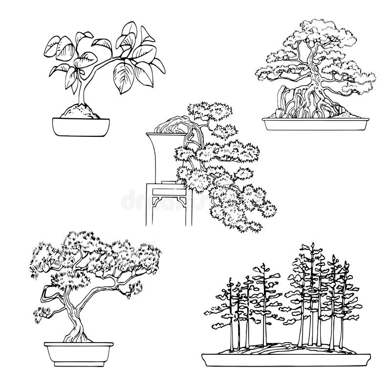 Bonsai plants stock illustration. Illustration of pots 15193034