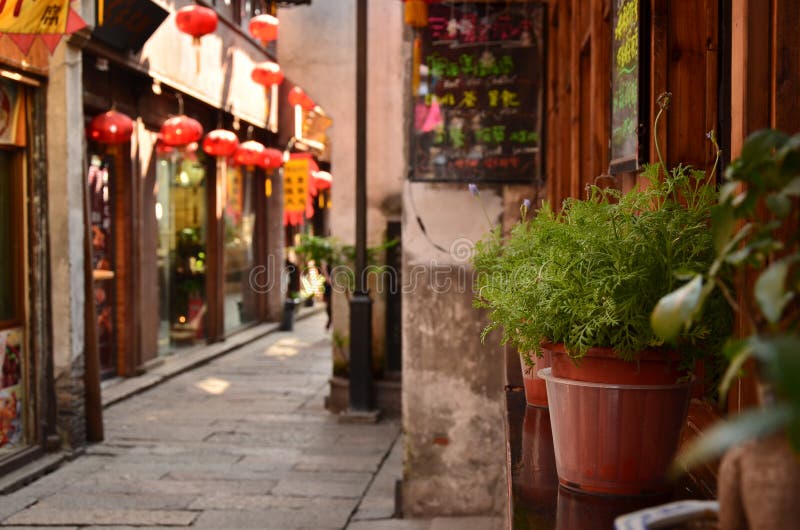 The bonsai plants placed outside a bar at the Shantang Street Suzhou,China. royalty free stock images The bonsai plants placed outside a bar at the Shantang Street Suzhou,China. royalty free stock images