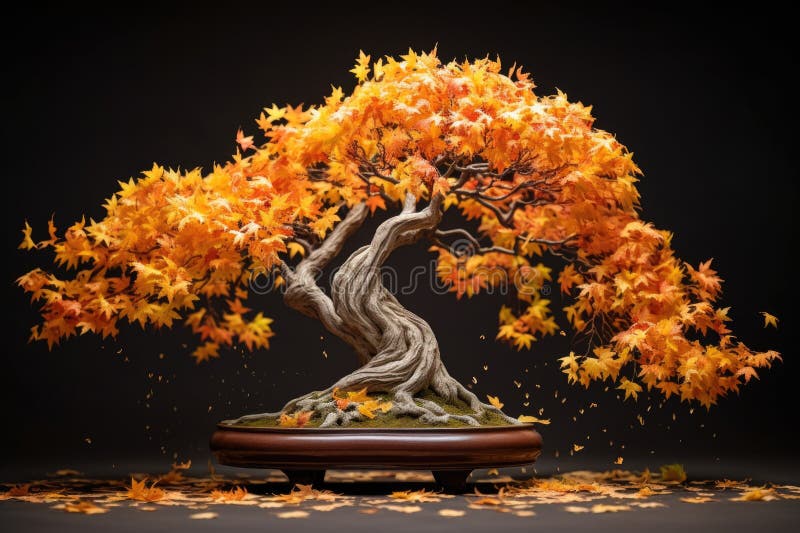 Bonsai Tree with Falling Leaves Stock Illustration Illustration of