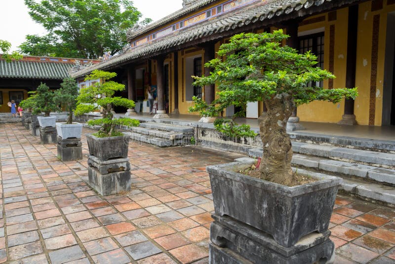 Bonsai Trees on Chinese Temple Courtyard Editorial Stock Photo Image