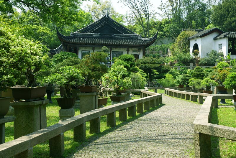 Bonsai Trees at Chinese Traditional Garden Stock Image Image of environment, garden 5942729