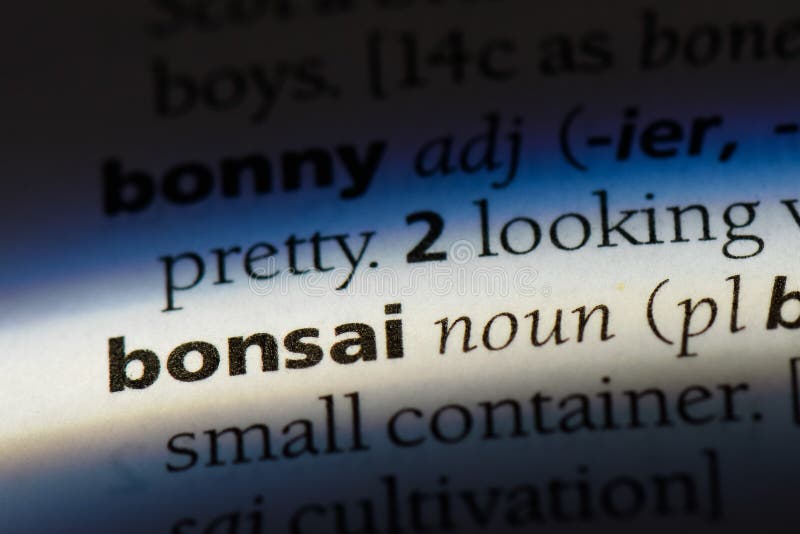 Bonsai stock photo. Image of concept, closeup, book 114405198