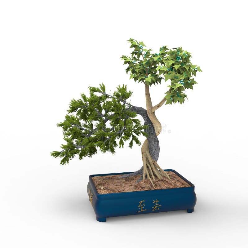 bonsais 3d ejemplo 3d un bonsai stock de ilustración bonsais 3d ejemplo 3d un bonsai stock de ilustración