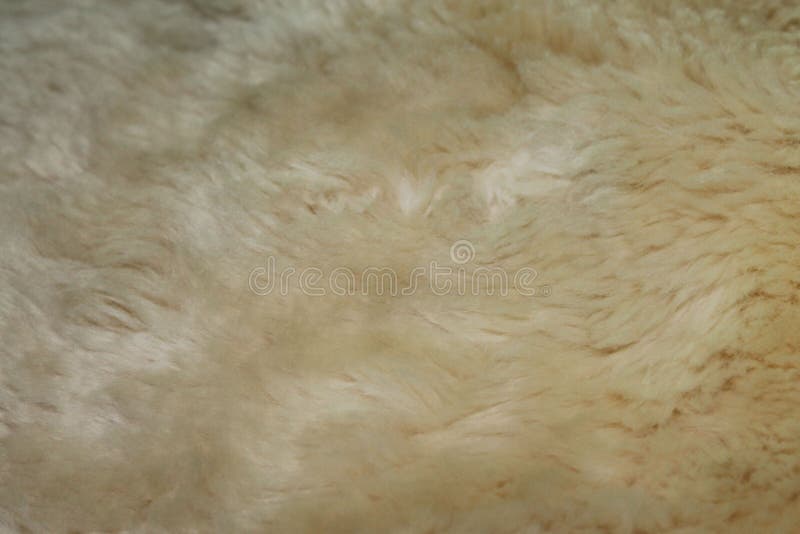 Bont beige oppervlakte voor achtergrond royalty-vrije stock foto Bont beige oppervlakte voor achtergrond royalty-vrije stock foto