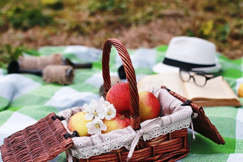 Book and basket with food on plaid picnic in park