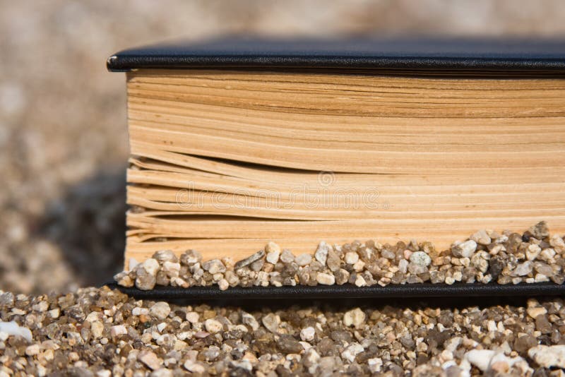 Book on the beach