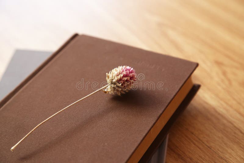 Book and dried flower stock photo. Image of diary, souvenir 29216132