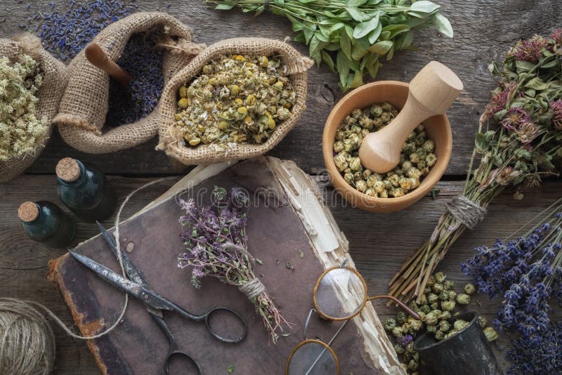 Book, eyeglasses, Tincture bottles, assortment of dry healthy herbs, mortar. Herbal medicine. Top view.