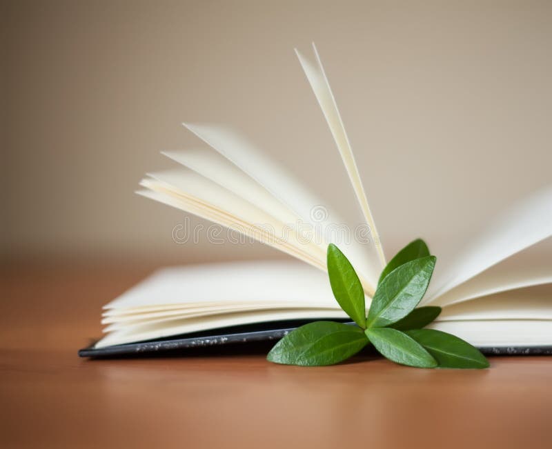 Book with leaves on the table and white background