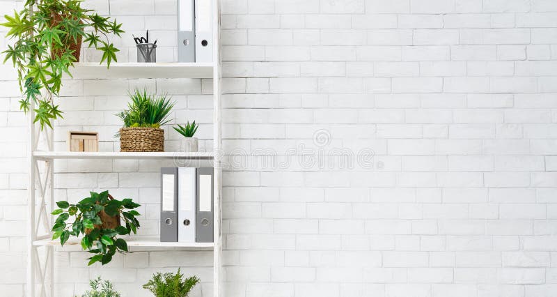 Bookcase офиса с заводами и папками над стеной стоковые фото