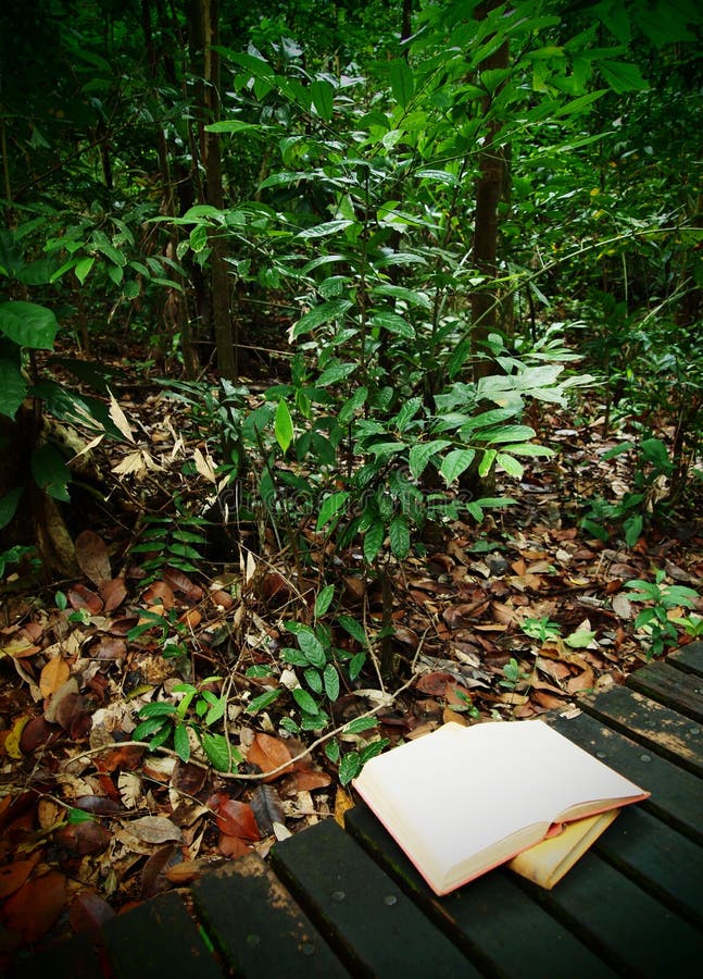 Books on rainforest trail
