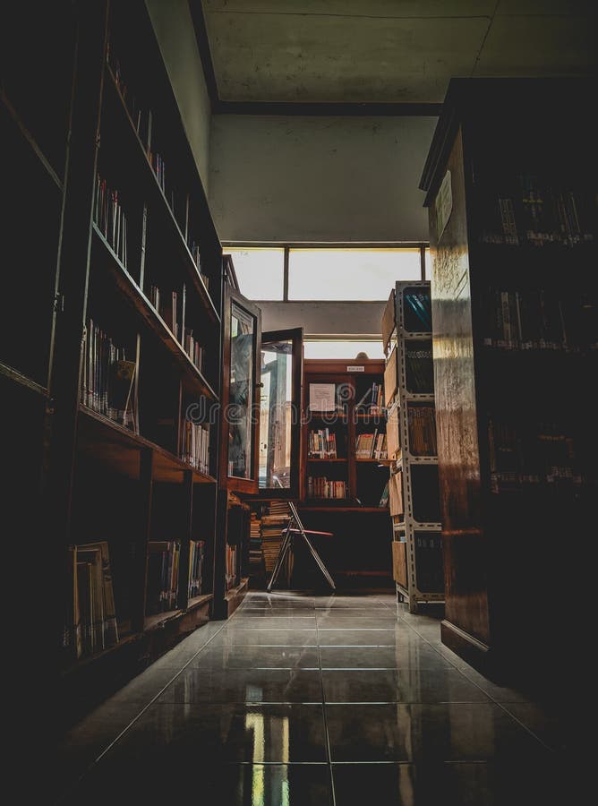 Books Stored in the Library Stock Image Image of beutiful, university 264027509