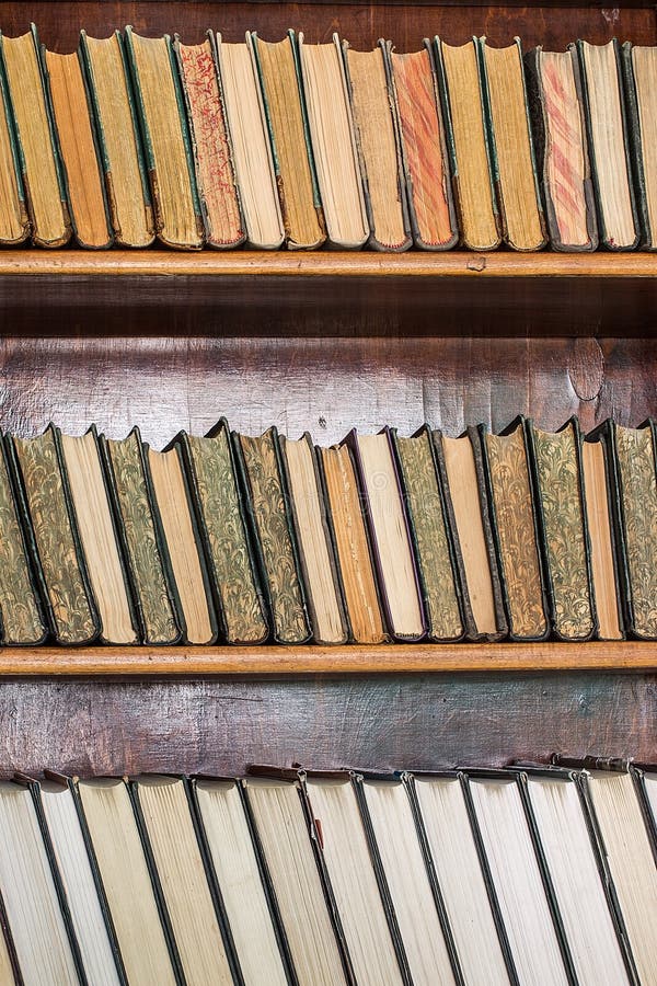 Books on Wooden Shelves in the Library Stock Image Image of ancient