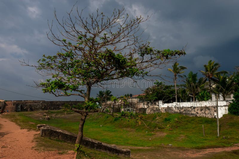 Boom in fort in Gagel, Sri Lanka Oude stad en dramatische hemel stock fotografie Boom in fort in Gagel, Sri Lanka Oude stad en dramatische hemel stock fotografie