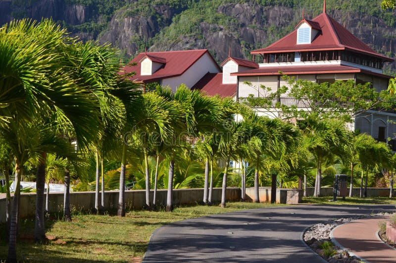 Tree lined road to condominiums in the Seychelles. Tree lined road to condominiums in the Seychelles