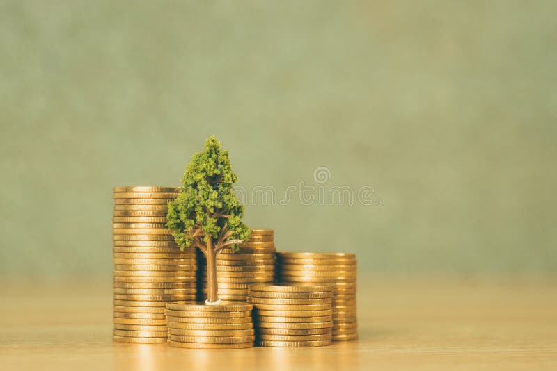 Boom het groeien op stapel van gouden muntstukken, de groei bedrijfsfinanciën binnen royalty-vrije stock foto's Boom het groeien op stapel van gouden muntstukken, de groei bedrijfsfinanciën binnen royalty-vrije stock foto's
