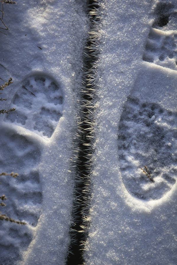 Boot marks on the plank royalty free stock image